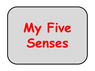 My Five Senses Display/ Stick-in Sheet