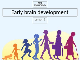 GCSE Psychology: Early brain development