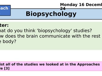 A Level Psychology - Biopsychology - neurons and synapses