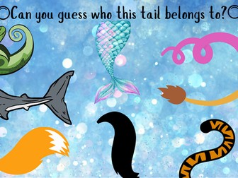 Can you guess who this tail belongs to?