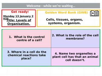 KS3- Levels of organisation- Low ability class- Edexcel