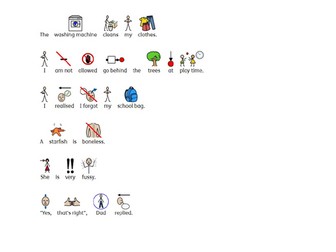 Knuffle Bunny Comprehension Check