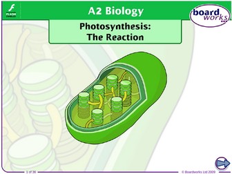 OCR A BIOLOGY A LEVEL CLASS WORKBOOKS WITH POWERPOINT