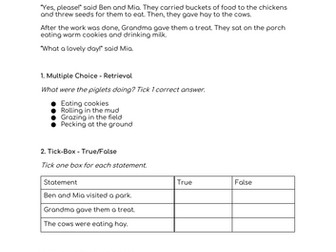 Year 2 SATS Reading Practice - 6 Weeks of learning