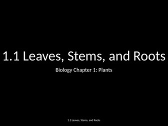 Slides: Cambridge Checkpoint and Beyond - Biology Secondary 1 (Year 7) Chapter 1 Plants