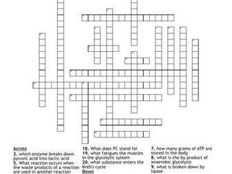 OCR A level PE Energy systems crossword