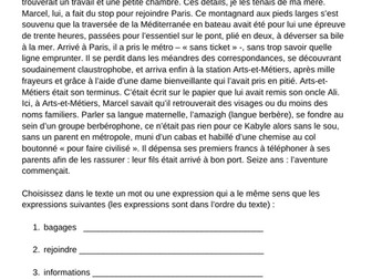 immigration A Level French reading