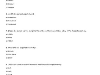 Spelling Year 4 Homework