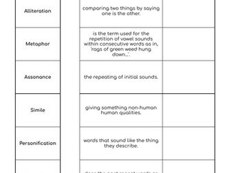 Imagery definition matching activity