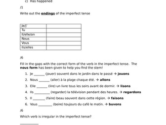 Mini grammar test - the imperfect