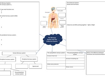 AQA A level Psychology Biopsychology mindmaps