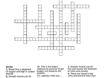 OCR ALevel PE cardiovascular system during exercise crossword