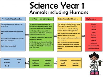 Y1 Science steps in learning