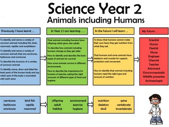 Y2 Science steps in Learning