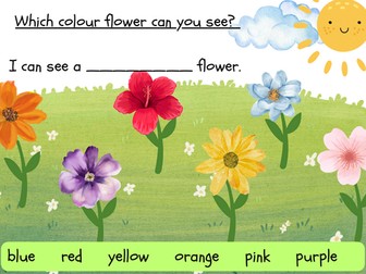 Which colour flower can you see? Sentence writing template