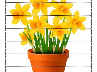 Daffodils puzzle