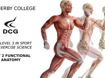 BTEC LEVEL 3 SPORT SCIENCE - FUNCTIONAL ANATOMY