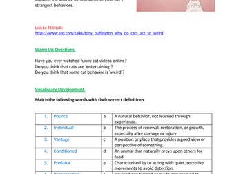 TED Talk: Why do cats act so weird?