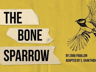 The Bone Sparrow - Novel Study