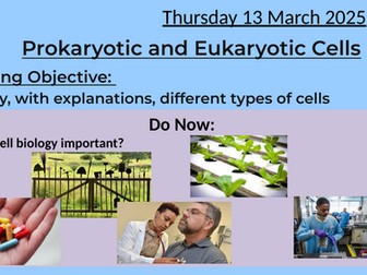 Biology Prokaryotic and eukaryotic cells