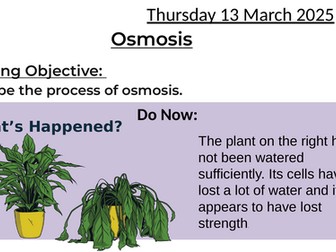 Osmosis - including 2 lesson for practical