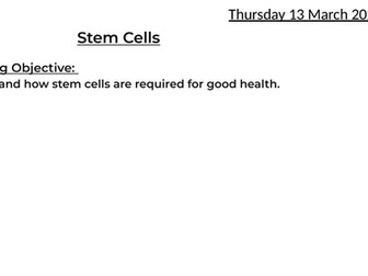 Stem cells