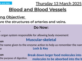 Blood and blood vessels
