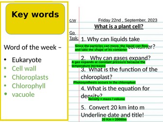 KS3 Plant cells lesson