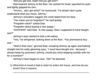 Comprehension: Inferring Characters' Feelings