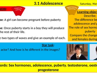 B3.1 Adolescence