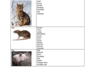 The Little Red Hen - planning resources