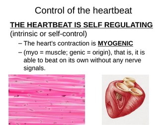 OCR A LEVEL BIOLOGY A H420 ELECTRICAL ACTIVITY IN HEART AND ECG