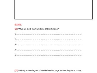 Human Skeleton Labelling