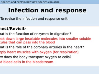 Infection and response revision powerpoint and lesson