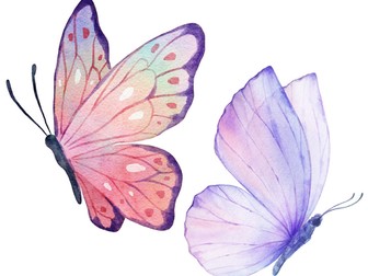 Butterfly Themed Pack