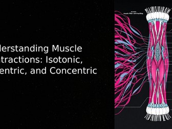 GCSE PE - Muscle Contractions