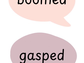 Words instead of said