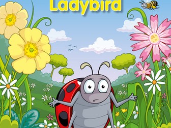 A home for Ladybird [an early years story and an outdoors lesson plan]
