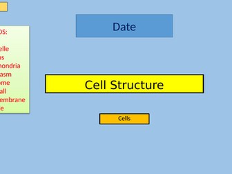 KS3 Cell Structure