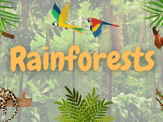 Rainforest display pack