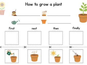 How to grow a plant EYFS