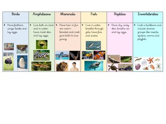 Science Classification KS2 - Animal Groups Identification Sheet