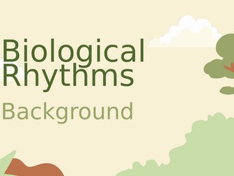 OCR Psychology: Biological Rhythms