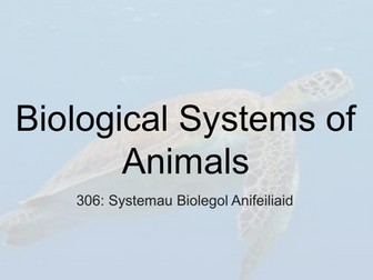 Level 3 Biology - Circulatory System