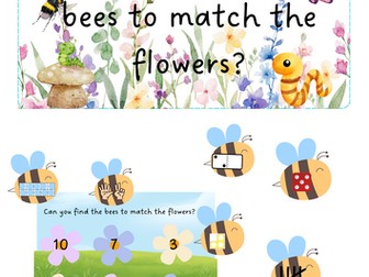 Minibeasts - Number Bee Representations
