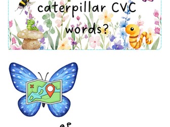 Minibeasts - Caterpillar CVC words