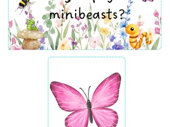 Minibeasts - peg the pictures