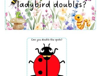 Minibeasts - Ladybird doubles