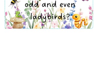 Minibeasts - odd and even ladybirds