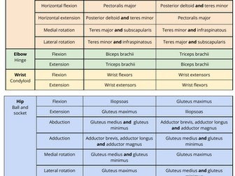 Movement analysis KS5 OCR PE